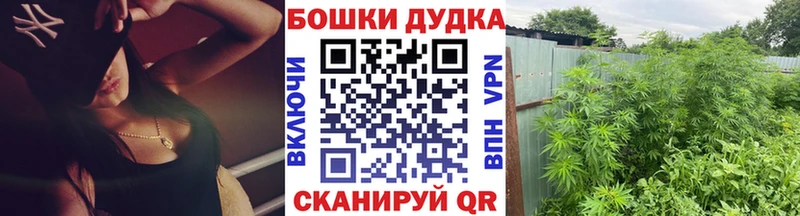 Виды наркотиков купить Сокол АМФ  Alpha-PVP  Меф мяу мяу  ГАШИШ  Канабис  Кокаин 