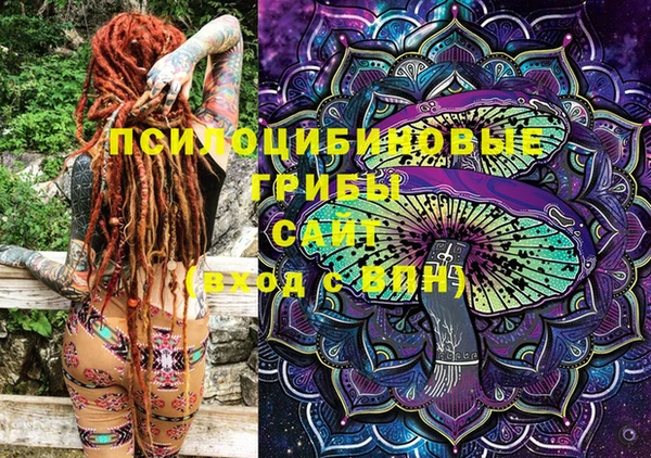 скорость Ельня