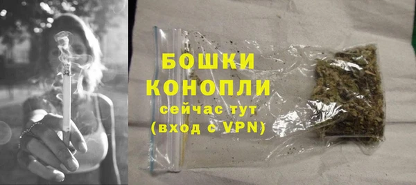 PSILOCYBIN Елабуга