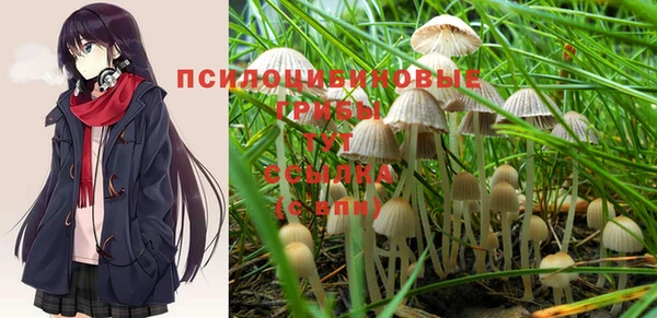 каннабис Пересвет