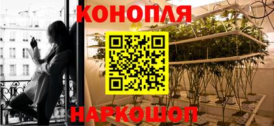 твердый Камышлов