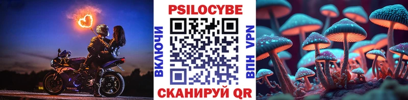 блэк спрут ТОР  Сокол  Галлюциногенные грибы GOLDEN TEACHER 