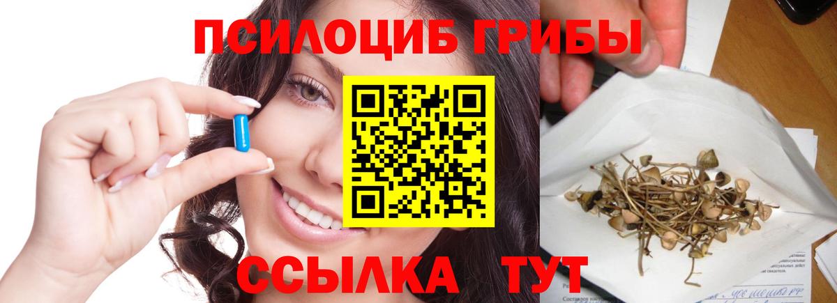 Галлюциногенные грибы Psilocybe  Галлюциногенные грибы Psilocybine cubensis  Сокол  Вход с VPN 